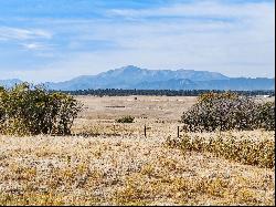 Incredible views of Pikes Peak and the Front Range!