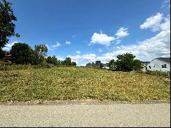 Lot 476 Arthur Road, Chartiers Township, PA 15301