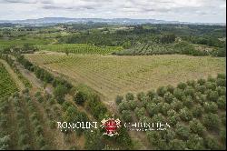 WINE ESTATE WITH 16 HA OF VINEYARDS FOR SALE IN CHIANTI, FLORENCE