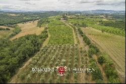 WINE ESTATE WITH 16 HA OF VINEYARDS FOR SALE IN CHIANTI, FLORENCE