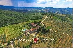 HAMLET FOR SALE, CHIANTI CLASSICO WINERY 14 HECTARES VINEYARDS