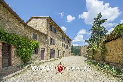 HAMLET FOR SALE, CHIANTI CLASSICO WINERY 14 HECTARES VINEYARDS