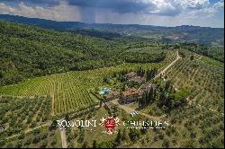 HAMLET FOR SALE, CHIANTI CLASSICO WINERY 14 HECTARES VINEYARDS