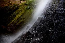 Selvatico Waterfall Garden