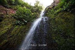 Selvatico Waterfall Garden