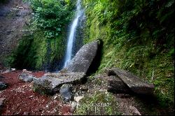 Selvatico Waterfall Garden