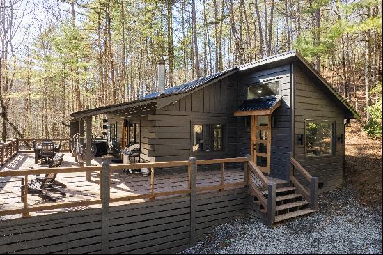 Cozy Retreat Tucked Away in the Blue Ridge Mountains