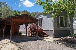 91 Wildcat, Aspen, CO 81611