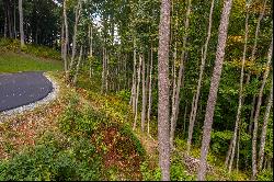 BANNER ELK - THE LODGES AT EAGLES NEST