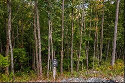 BANNER ELK - THE LODGES AT EAGLES NEST