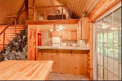 Cabin 177 Northwoods Cougar, WA 98616