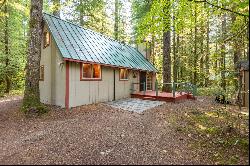 Cabin 177 Northwoods Cougar, WA 98616