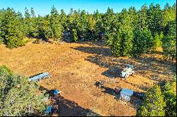 19677 Shake Ridge Road, Volcano, CA 95689