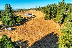 19677 Shake Ridge Road, Volcano, CA 95689