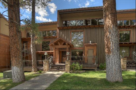 73 S Tamarron Drive #870, Durango, CO 81301