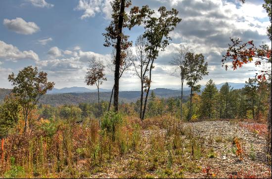 Mineral Bluff