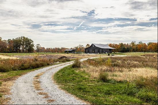 Charming Carriage House, Spacious Workshop with Acreage Await