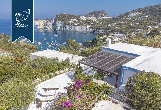 Villa with a pool and terrace by the sea for sale in the heart of Ponza island