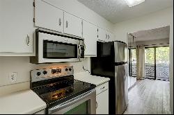 Main Floor, Carefree Condo in Mount Vernon Village