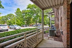 Main Floor, Carefree Condo in Mount Vernon Village