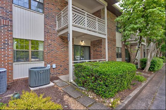 Main Floor, Carefree Condo in Mount Vernon Village