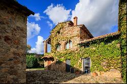 Historic farmhouse with olive grove and vineyard