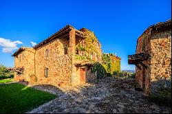 Historic farmhouse with olive grove and vineyard