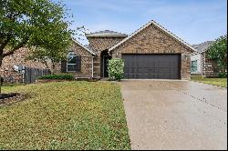 6036 Warmouth Drive,Fort Worth, TX, 76179