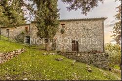 In the Heart of Chianti, Stone Farmhouse with Pool and Breathtaking Views