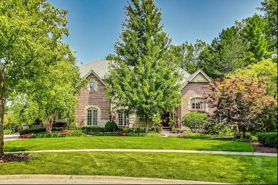 6256 Wildwood Lane, Burr Ridge, IL, 60527, USA