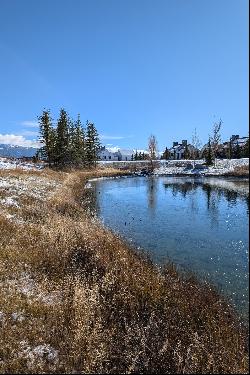 Tributary Homesite