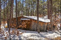 Two turn of the century charming cabins nestled in towering pines