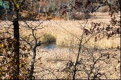 Panoramic Connecticut River and Tidal Marsh Views