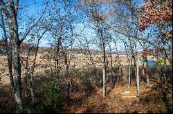 Panoramic Connecticut River and Tidal Marsh Views