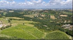 Il Convento with truffle, vineyards and olive grove Siena – Toscana