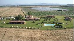 The Ancient Well Farm with pool and restaurant, Grosseto - Tuscany