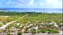 South Caicos Beachfront Development Land