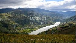 Wine estate for sale in the Demarcated Region, Douro Valley, Portugal