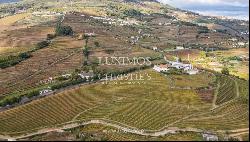 Wine estate for sale in the Demarcated Region, Douro Valley, Portugal