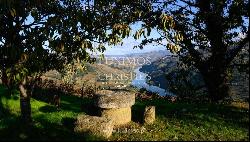 Wine estate for sale in the Demarcated Region, Douro Valley, Portugal