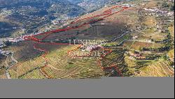 Wine estate for sale in the Demarcated Region, Douro Valley, Portugal