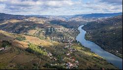 Wine estate for sale in the Demarcated Region, Douro Valley, Portugal