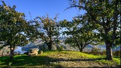 Wine estate for sale in the Demarcated Region, Douro Valley, Portugal