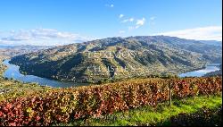 Wine estate for sale in the Demarcated Region, Douro Valley, Portugal