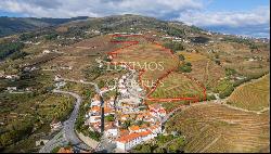 Wine estate for sale in the Demarcated Region, Douro Valley, Portugal