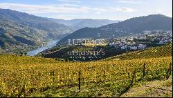 Wine estate for sale in the Demarcated Region, Douro Valley, Portugal