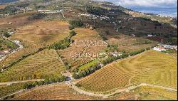 Wine estate for sale in the Demarcated Region, Douro Valley, Portugal