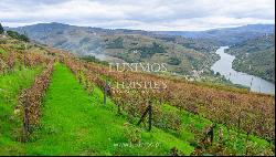 Wine estate for sale in the Demarcated Region, Douro Valley, Portugal