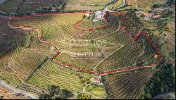 Wine estate for sale in the Demarcated Region, Douro Valley, Portugal