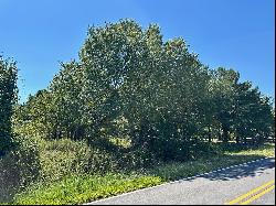 5+/- Acres of Vacant Land to Build Your Dream Home in the Heart of Loganville